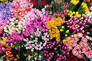 《宇宙机器人》免费DLC今年推出 加入速通、VIP机器人