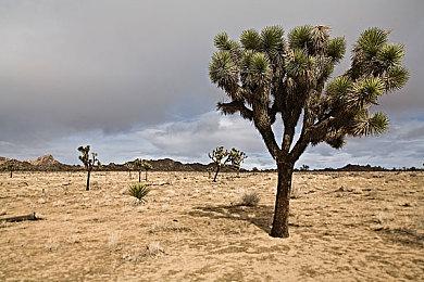 第二届虚幻嘉年华月底举办 展示作品包括《黑神话：悟空》